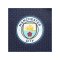 PUMA Manchester City Trikot UCL 2021/2022 Blau F03 - blau