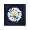 PUMA Manchester City Short UCL 2021/2022 Blau F03 - blau