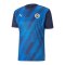 PUMA Fenerbahçe Istanbul Prematch Shirt 2021/2022 Blau F02 - blau