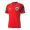 PUMA Österreich Prematch Shirt 2022 Rot F01 - rot
