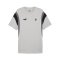 PUMA Borussia Mönchengladbach Ftbl Archive T-Shirt Grau F02 - grau