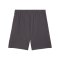 PUMA AC Mailand Short 3rd 2024/2025 Grau F03 - grau