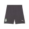 PUMA AC Mailand Short 3rd 2024/2025 Grau F03 - grau