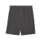 PUMA AC Mailand Short 3rd 2024/2025 Kids Grau F03 - grau