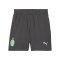 PUMA AC Mailand Short 3rd 2024/2025 Kids Grau F03 - grau