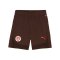 PUMA FC St. Pauli Short Kids Braun F05 - braun