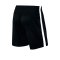 Nike Short Squad 17 Dry Knit Kinder Schwarz F010 - schwarz