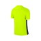Nike kurzarm Trikot Precision IV Gelb F702 - gelb