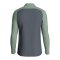 JAKO Iconic HalfZip Sweatshirt Grau F852 - grau