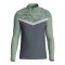 JAKO Iconic HalfZip Sweatshirt Grau F852 - grau