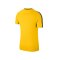 Nike Academy 18 Football Top T-Shirt Gelb F719 - gelb