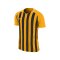 Nike Striped Division III Trikot Gelb F739 - gold