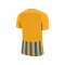 Nike Striped Division III Trikot Gelb F740 - gold