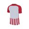 Nike Striped Division III Trikot Rot F658 - rot