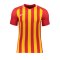 Nike Striped Division III Trikot Rot Gelb F659 - rot