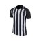 Nike Striped Division III Trikot Schwarz F010 - schwarz