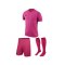 Nike Trikotset Tiempo Premier Pink Schwarz F662 - pink
