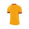 Nike Park Derby II Trikot Gelb Rot F739 - gelb