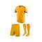 Nike Trikotset Park Derby II Gelb Rot F739 - gelb