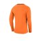Nike Park III Goalie Torwarttrikot Orange F803 - orange
