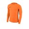 Nike Park III Goalie Torwarttrikot Orange F803 - orange