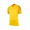 Nike Promo Torwarttrikot kurzarm Gelb F719 - gelb