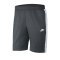 Nike Woven Core Short Grau F061 - grau