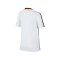 Nike Dry Academy T-Shirt GX2 Kids Weiss F100 - weiss