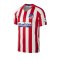 Nike Atletico Madrid Authentic Trikot Home 2019/2020 Rot F612 - Rot