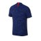 Nike FC Chelsea London Authentic Trikot Home 2019/2020 F495 - Blau
