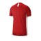 Nike Academy 19 Dri-FIT T-Shirt Kids Rot F657 - Rot
