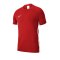 Nike Academy 19 Dri-FIT T-Shirt Kids Rot F657 - Rot