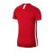 Nike Dry Academy T-Shirt Rot F657 - rot