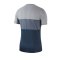 Nike Dri-FIT Academy T-Shirt Grau F012 - Grau