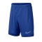 Nike Academy Dri-FIT Short Kids Blau F480 - Blau