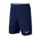 Nike Tottenham Hotspur Short Home Kids F429 - blau