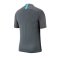 Nike Tottenham Hotspur Strike Top T-Shirt F026 - grau