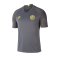 Nike Inter Mailand Trainingsshirt kurzarm F021 - grau