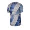 Nike Tottenham Hotspur Prematch Shirt kurzarm F059 - grau