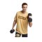 Nike DB Dry Training Tee T-Shirt Gold Braun F723 - gold