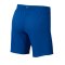 Nike Vaporknit Spray Short Hose kurz Blau F480 - Blau