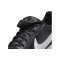 Nike Premier III IC Halle Schwarz Weiss F010 - schwarz