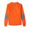 adidas Assita 17 langarm Shirt Kids Orange Weiss - orange