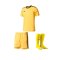adidas Trikotset Squadra 17 Gelb - gelb