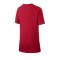 Nike FC Barcelona Core Match T-Shirt Kids F620 - Rot