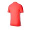Nike Academy 19 Poloshirt Rot Weiss F671 - rot