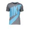 Nike Tottenham Hotspur Shirt kurzarm Grau F026 - grau