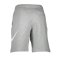 Nike Club Graphic Shorts Grau F063 - grau