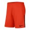 Nike League Knit II Short Orange F891 - orange