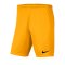 Nike Park III Short Orange F739 - orange